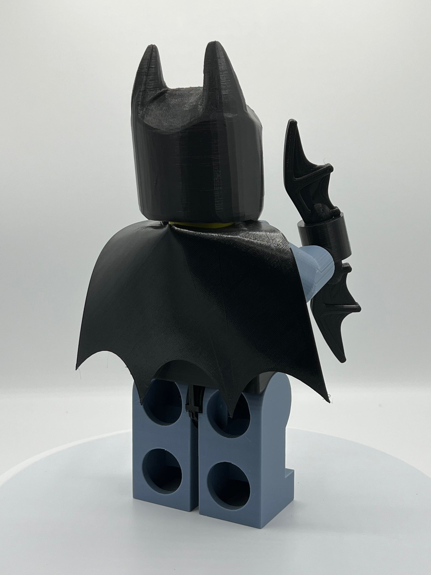 The Guardian of Gotham City