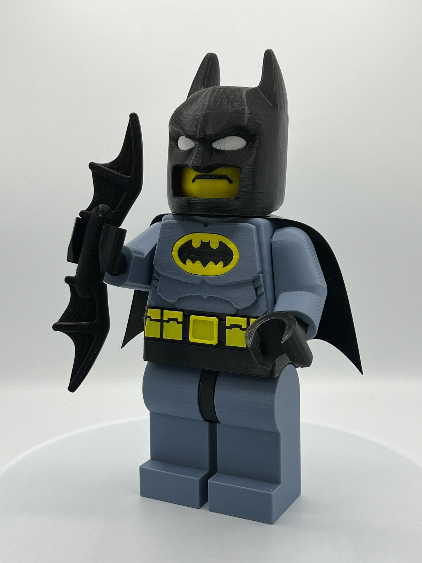 The Guardian of Gotham City
